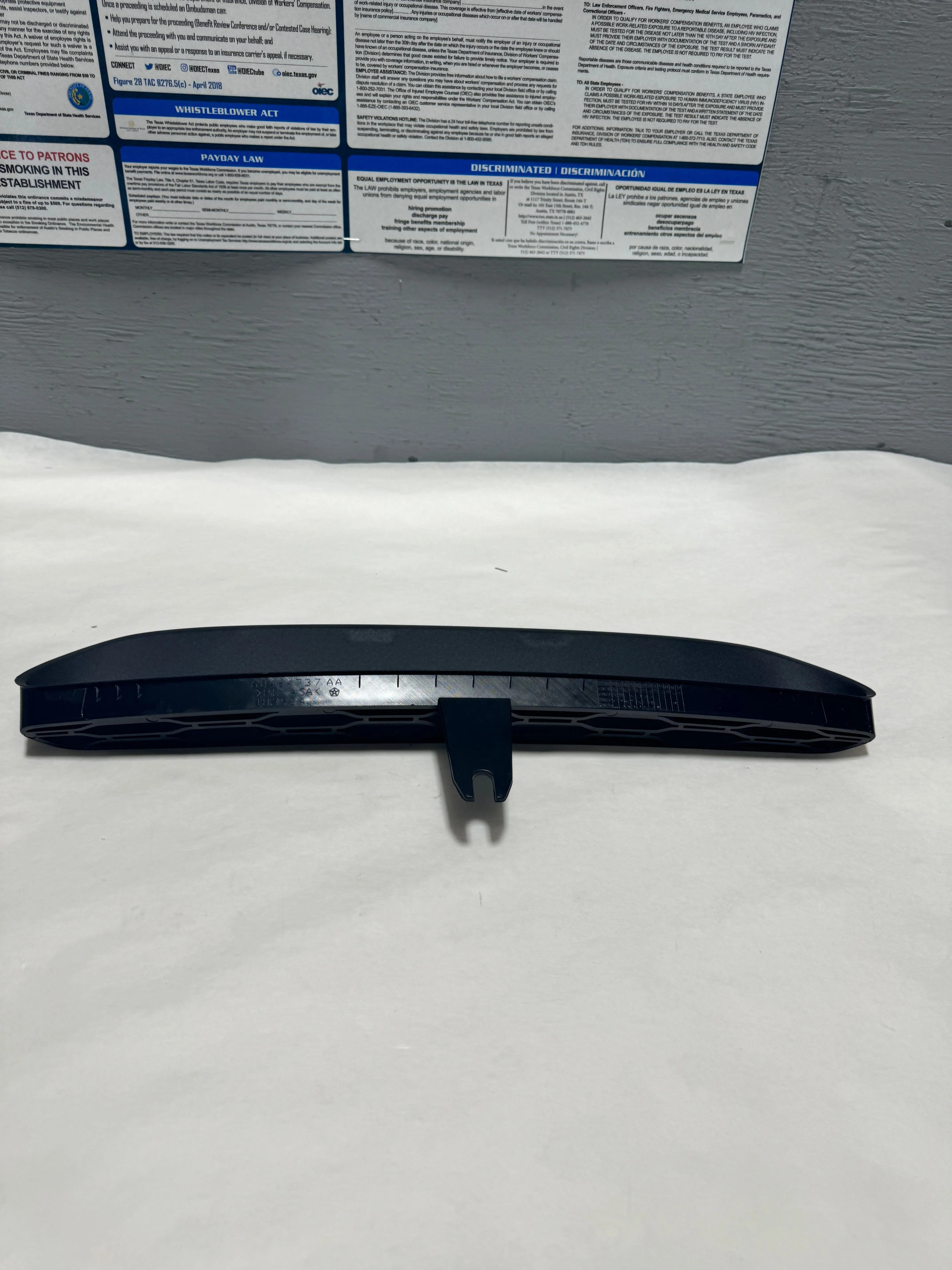 2019-2023 Dodge Charger Redeye Black Center Hood Bezel Trim OEM