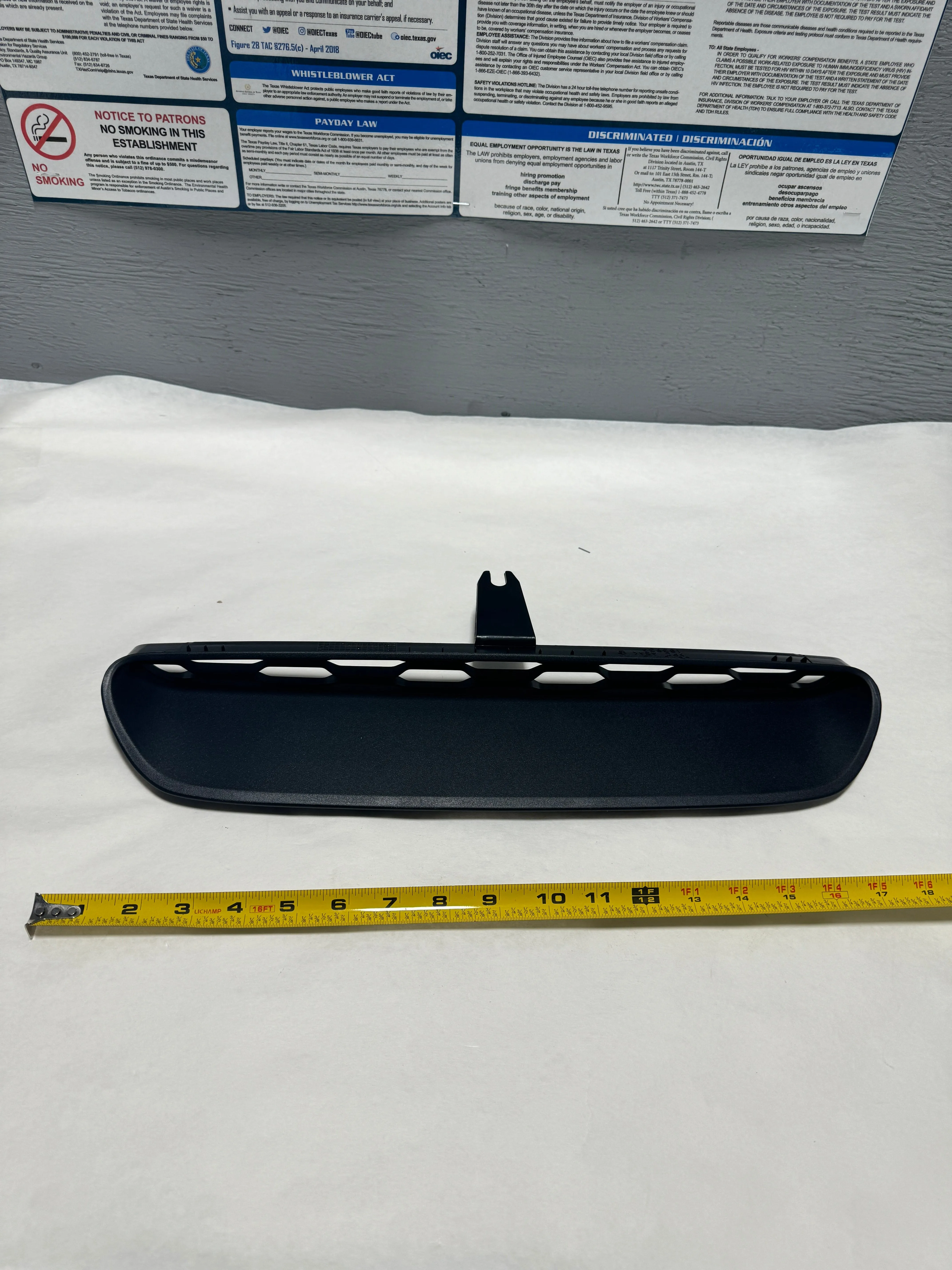 2019-2023 Dodge Charger Redeye Black Center Hood Bezel Trim OEM