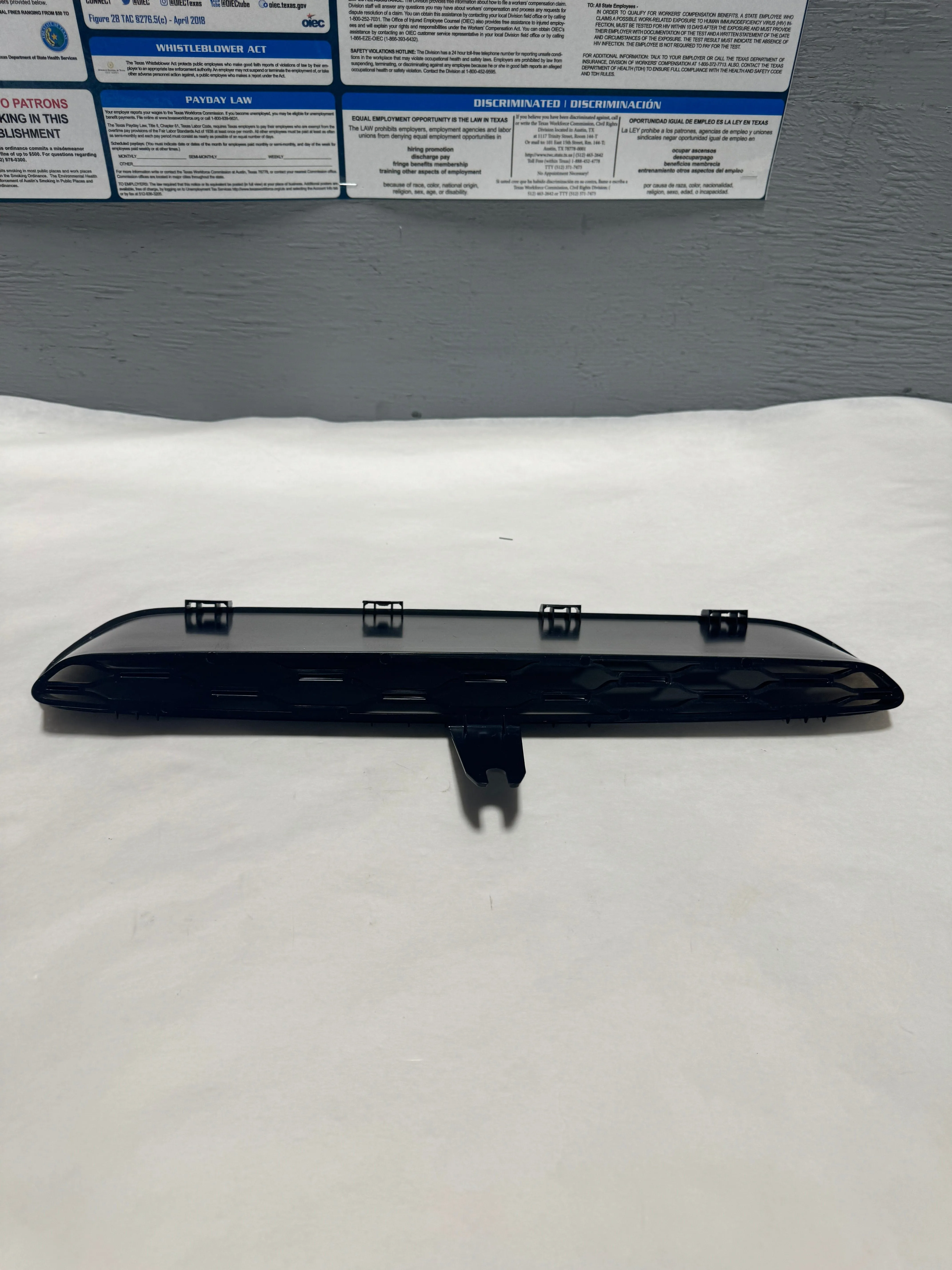 2019-2023 Dodge Charger Redeye Black Center Hood Bezel Trim OEM