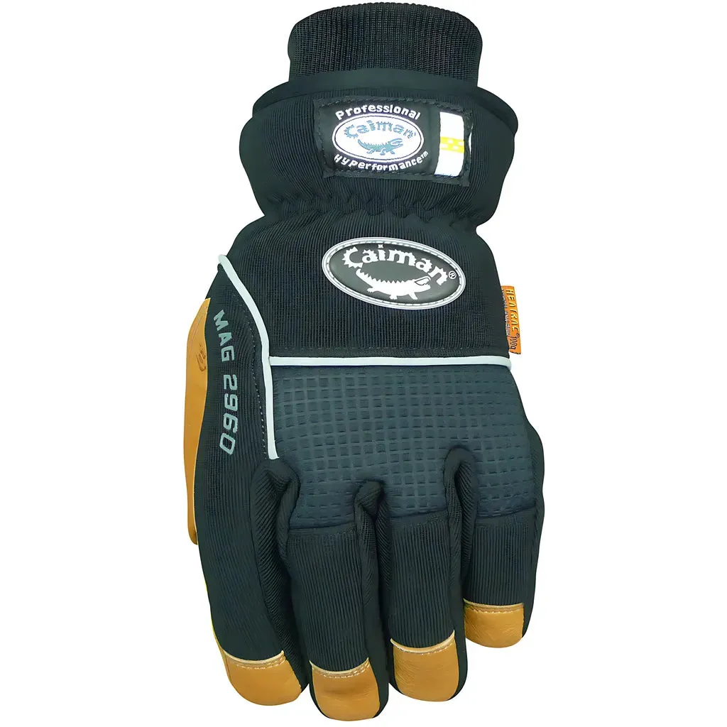 Caiman 2960-6 Multi-Activity Glove with Pig Grain Leather Padded Palm and Waterproof Back - Heatrac Insulated