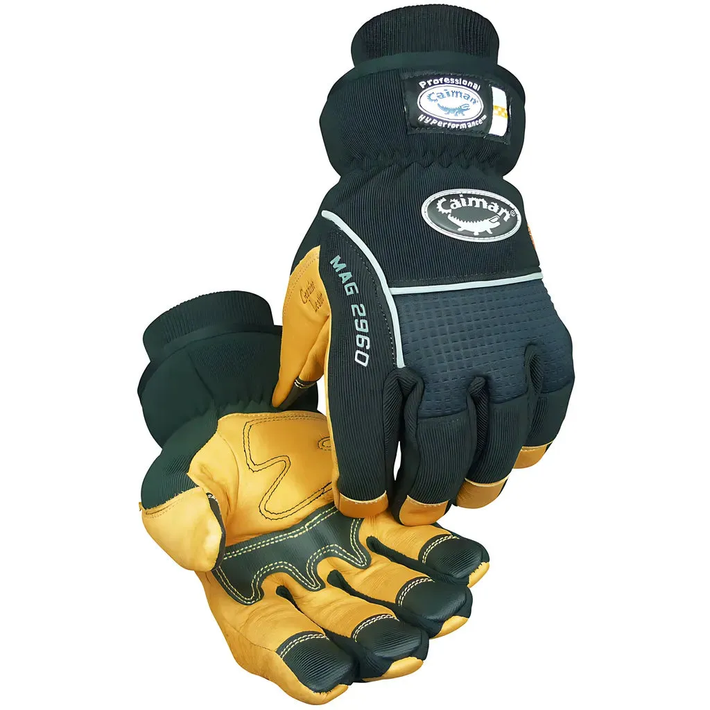 Caiman 2960-6 Multi-Activity Glove with Pig Grain Leather Padded Palm and Waterproof Back - Heatrac Insulated