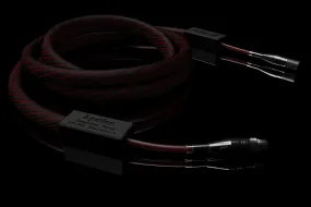 Signal Projects Apollon Digital AES/EBU XLR 110Ω Cable