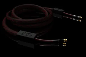 Signal Projects Apollon Digital BNC 75Ω Cable